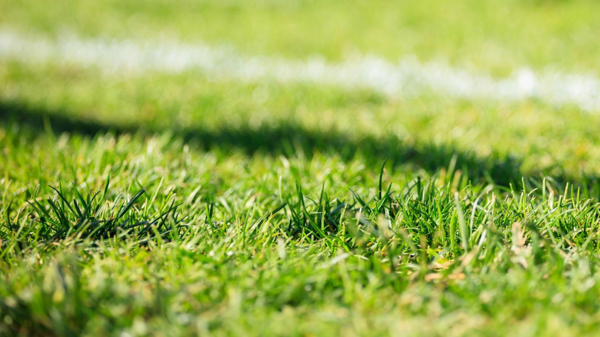 Inscrições abertas para apoios ao Associativismo Desportivo